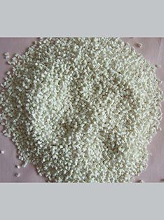 Polymer Processing Aid PPA9024