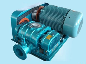 inflatable blower motor