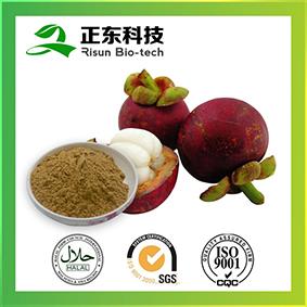 natural extract Mangosteen Extract powder