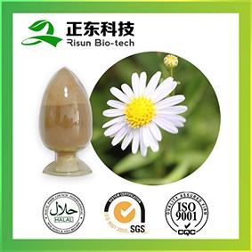 Hot Sale Product Chamomile Extract Powder