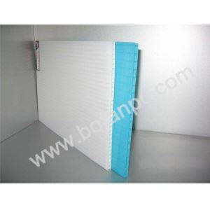Twin WallL Polycarbonate Sheet