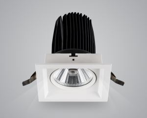 Single Dimmable LED Grille Spotlight