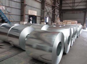 Zinc Coated Steel Coils