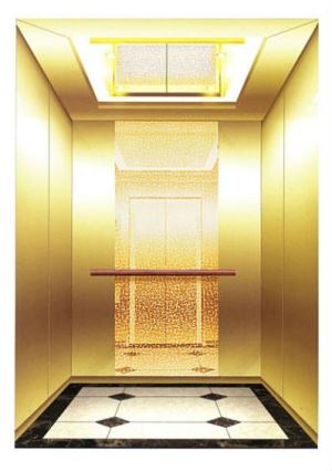 VVVF Elegant Home Elevator