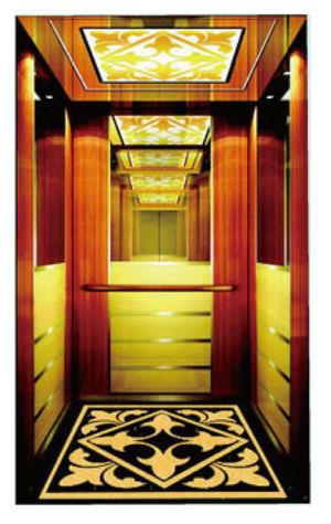 Unique Design Home Elevator