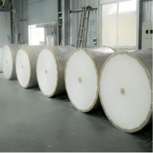 PE Coated Cup Paper