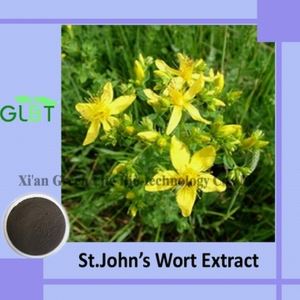 Hypericum Perforatum St. John’s Wort Extract
