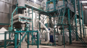 100tpd Kenya Maize Milling Plant