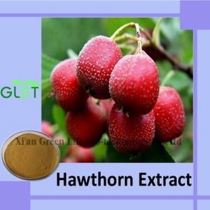 Hawthorn Extract Powder Flavonoids