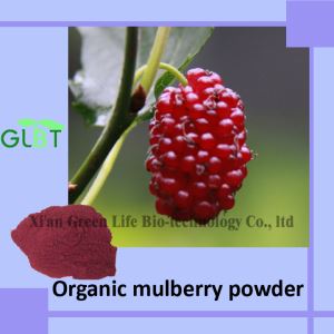 Organic Mulberry Powder