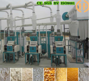 Algeria Corn Milling Process 20T Per 24h
