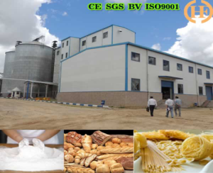 Egypt Wheat Flour Milling Machine 250T Per 24h