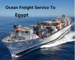 Sea Freight To Egypt