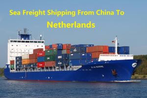 Sea Freight To Netherlands