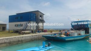ICESTA Containerized Flake Ice Plant For Concrete And Mixing Plant, Fishing Dock, Ice Factory 100t/24h