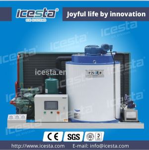 ICESTA Stainless Steel Flake Ice Machine Food Grade For Food Processing Infudtry 5t/24hrs