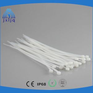 Customized Electrical Self-locking Plastic Nylon Cable Tie Cable Accessories
