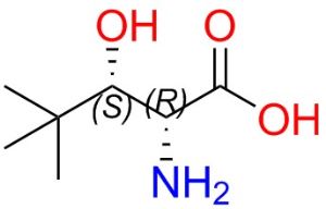 (2R,3S)-2-amino-3-hydroxy-4,4-dimethylpentanoic Acid , 1279049-31-8/50730-83-1 , 3S-tert-Butyl-D-serine