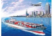 China LCL Ocean Freight Company