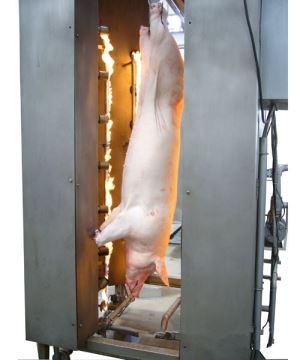 Pigs Burn Furnaces