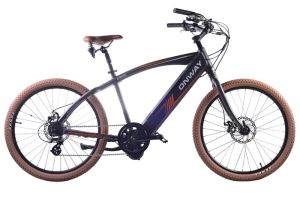 Central Motor City Electric Bike For Man( HF-261503B)