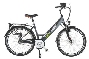 Front Motor City Electric Bike for Woman(HF-261403A)