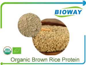 Organic Brown Rice Protein, 100% natural, organic plant protein
