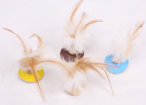 Cat Feather Toys