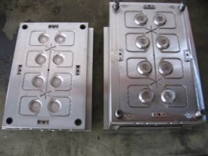 Digital Products Mould