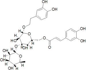 Isoacteoside,61303-13-7