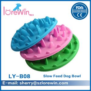 Maze Dog Bowl
