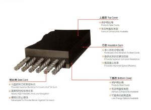 Standard Construction Type Steel Cord Conveyor Belt
