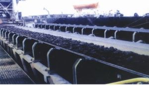 Cold-resistant Conveyor Belt