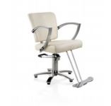 Hair Salon Styling Chair With Five Star Base