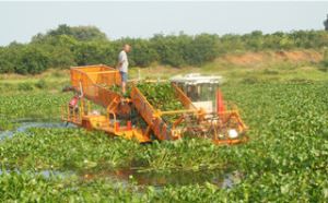 Water Hyacinth Harvester
