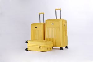 Cabin Luggage