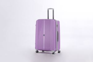 PP Travel Suitcase