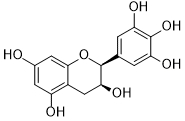 Epigallocatechin-970-74-1