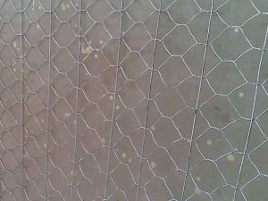 Reinforced Stone Cage Net