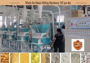 Kenya Maize Mills 20T Per D