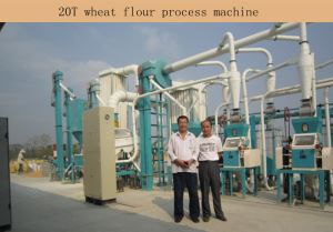 Algeria Wheat Flour Grinding Machine 30T Per 24h