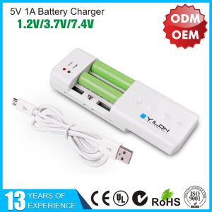 Top Supplier Micro USB Universal Fast Battery Charger