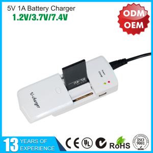High Quality 5V 1A USB Battery Charger