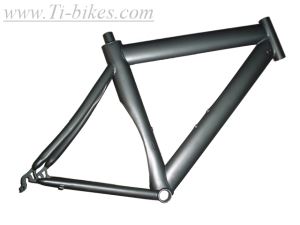 Titanium Blade Bike Frame