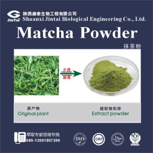 Nutural green tea powder matcha wholesale matcha