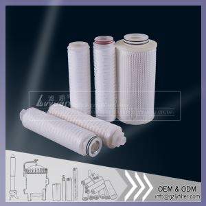 PTFE Pleated Filter