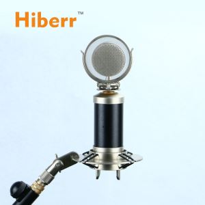 BS100 Voice Recording Microphone For Audio Studio