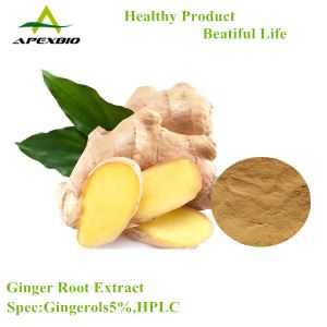 Natural Ginger Root Extract,Gingerols5%-15%,Water Soluble Gingerols
