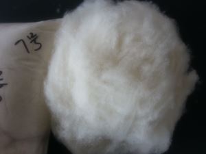Combed Wool Fiber