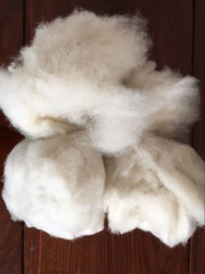 Carded Sheep Wool